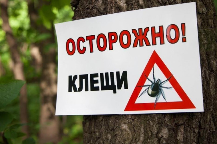«Горячая линия» по вопросам профилактики клещевого энцефалита..
